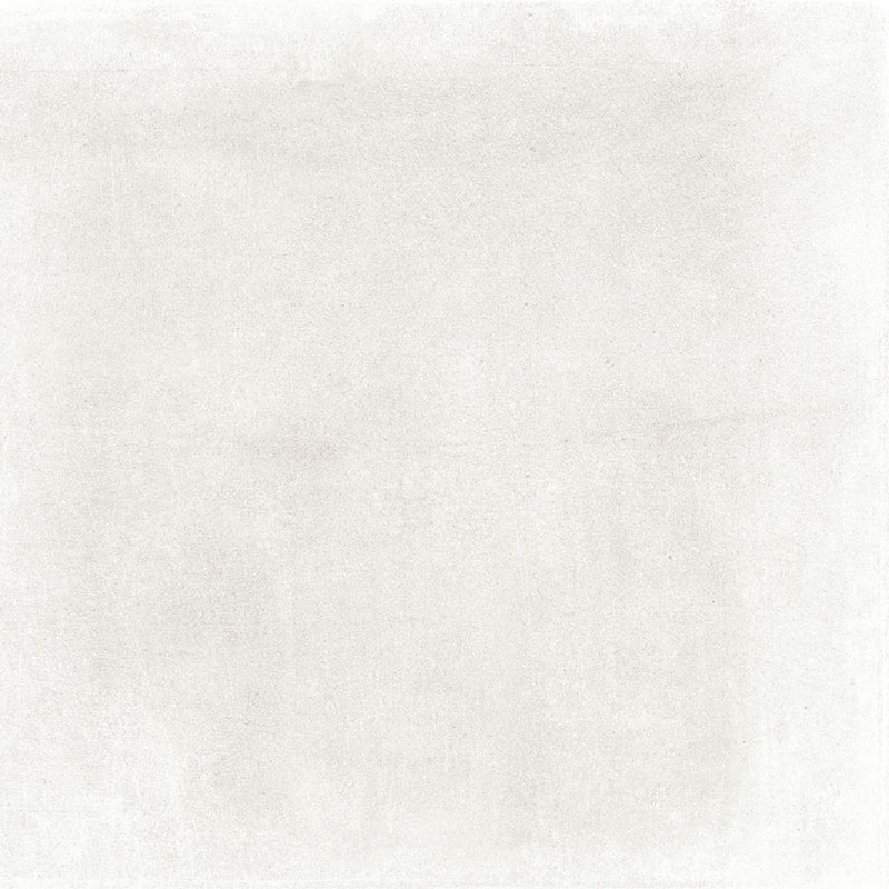 zala20191112_r_24.jpg